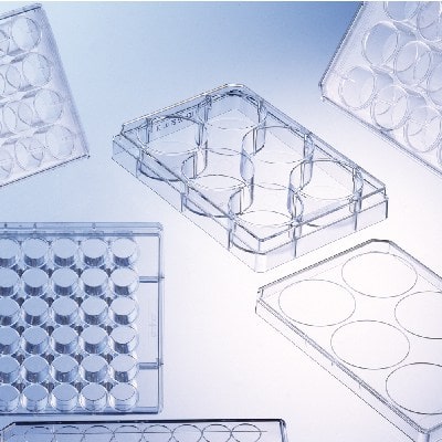 itemImage_Greiner_cell culture multiwell plates